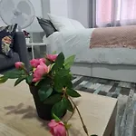 Miriam's 公寓 大加那利岛拉斯帕尔马斯